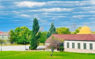 Meaning of Arabic Words Individually in English, Spanish, and Bengali